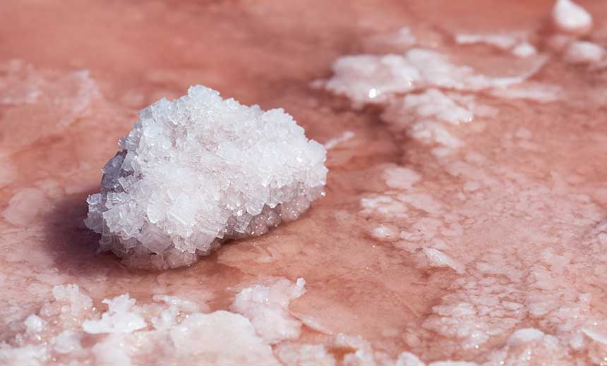 Natrium muriaticum (nat-m.)